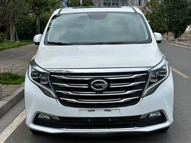 GAC Trumpchi Trumpchi M8 2019