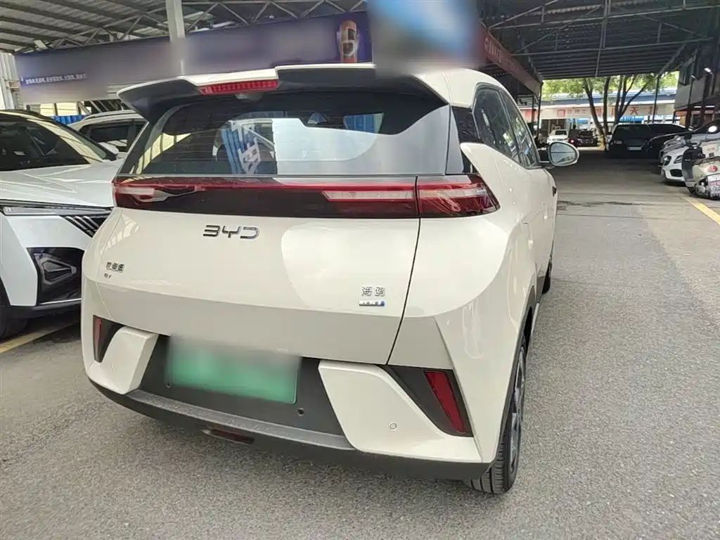 BYD Seagull 2025 Smart Drive Edition 305km Freedom Version фото 7