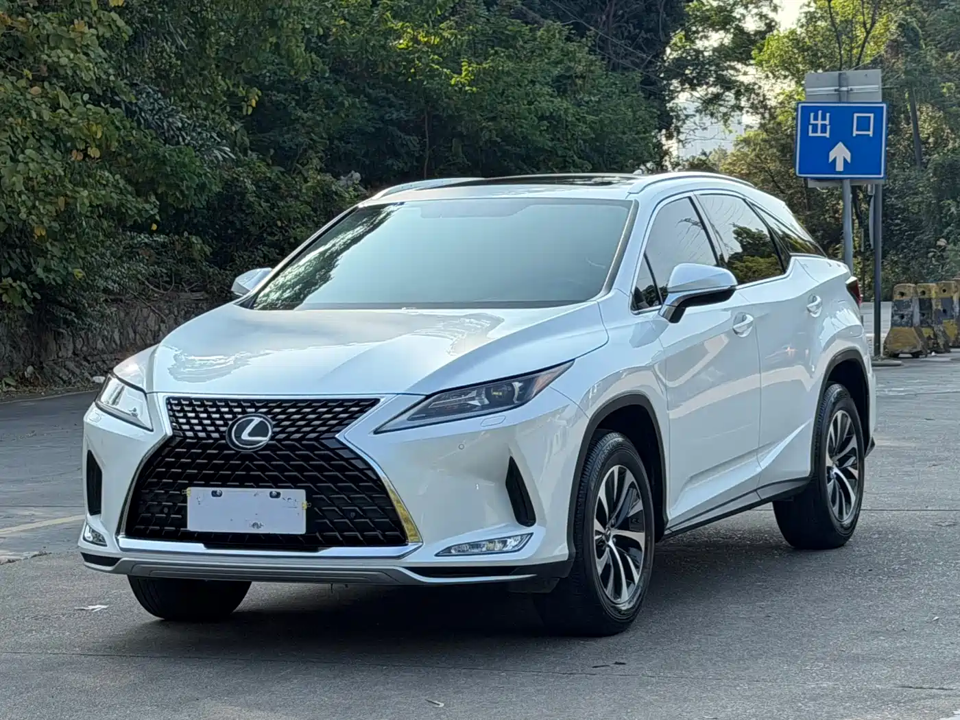 LEXUS RX