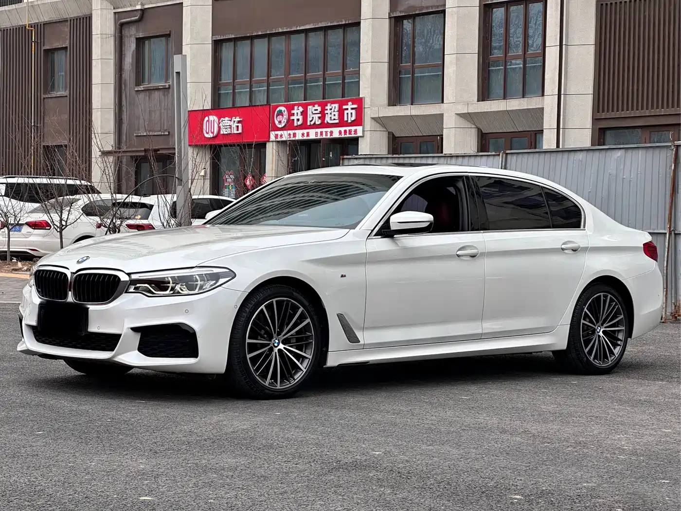 BMW 5 Series 2020 530Li Leading M Sport Package