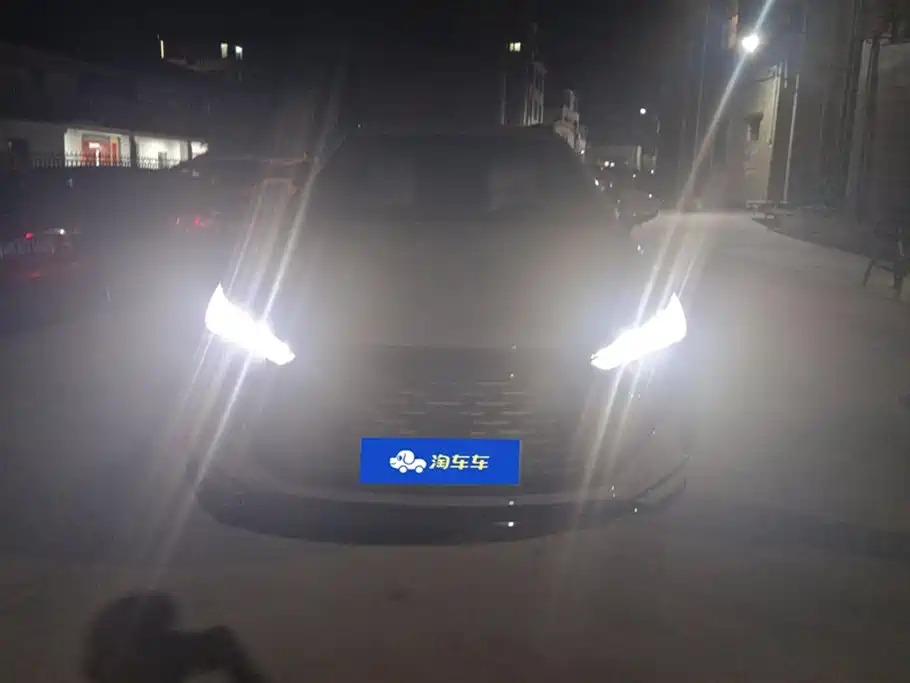 BYD Tang New Energy 2025 DM-i 115KM Flagship фото 2