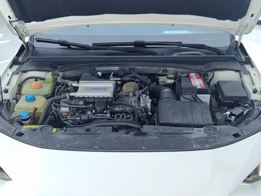 GAC Trumpchi Trumpchi Emkoo 2021 270T DCT J11 Edition фото 10