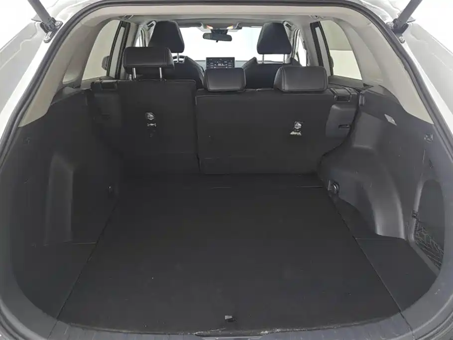 Toyota Wildlander 2022 2.0L CVT AWD Luxury Edition фото 4