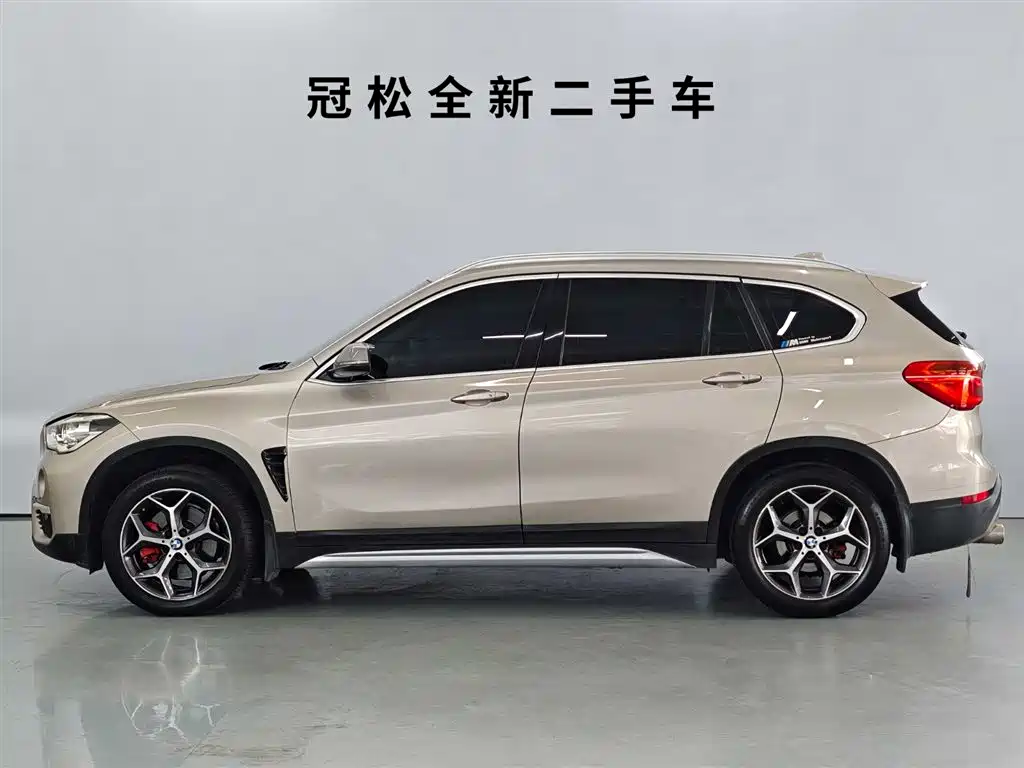 BMW X1 2019 xDrive20Li Luxury Model фото 3