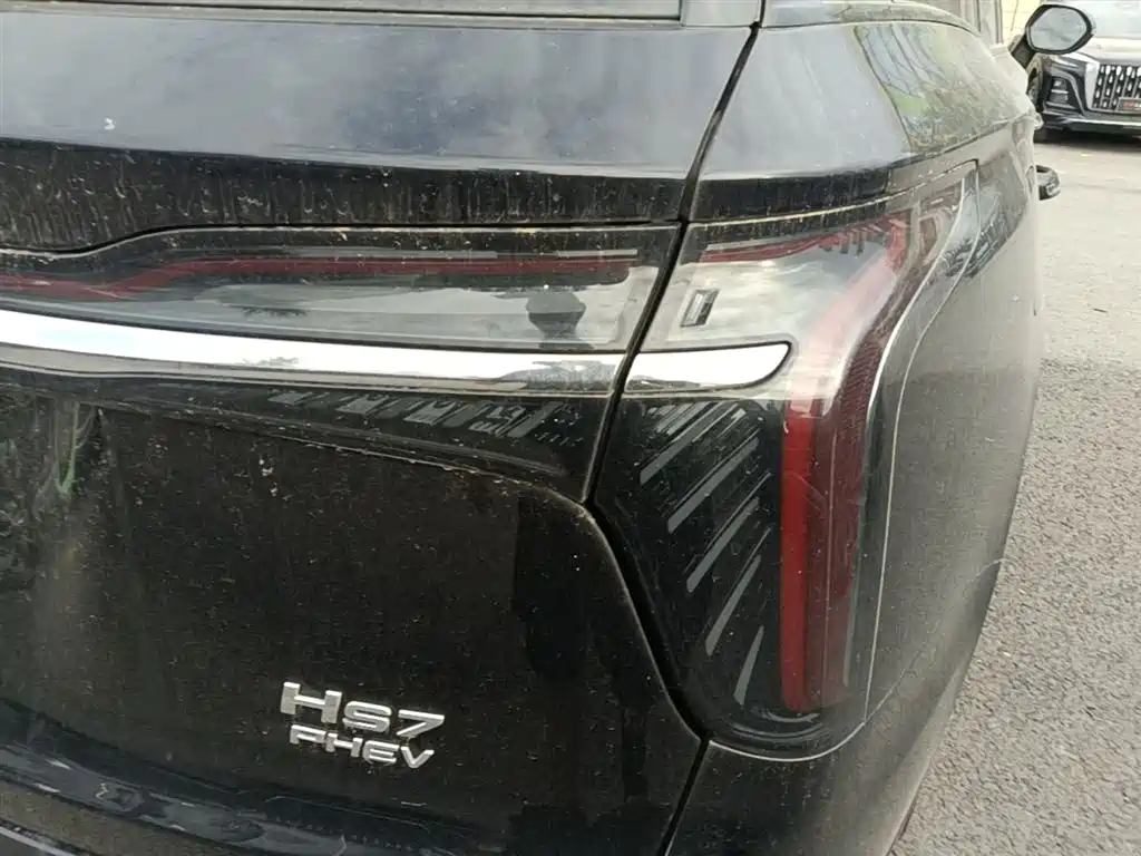 Hongqi HS7 PHEV 2024 2.0T PHEV AWD Qichang Edition 7-seater фото 8