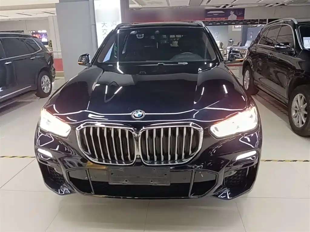 BMW X5 (Import) 2019 xDrive40i M Sport Package фото 3