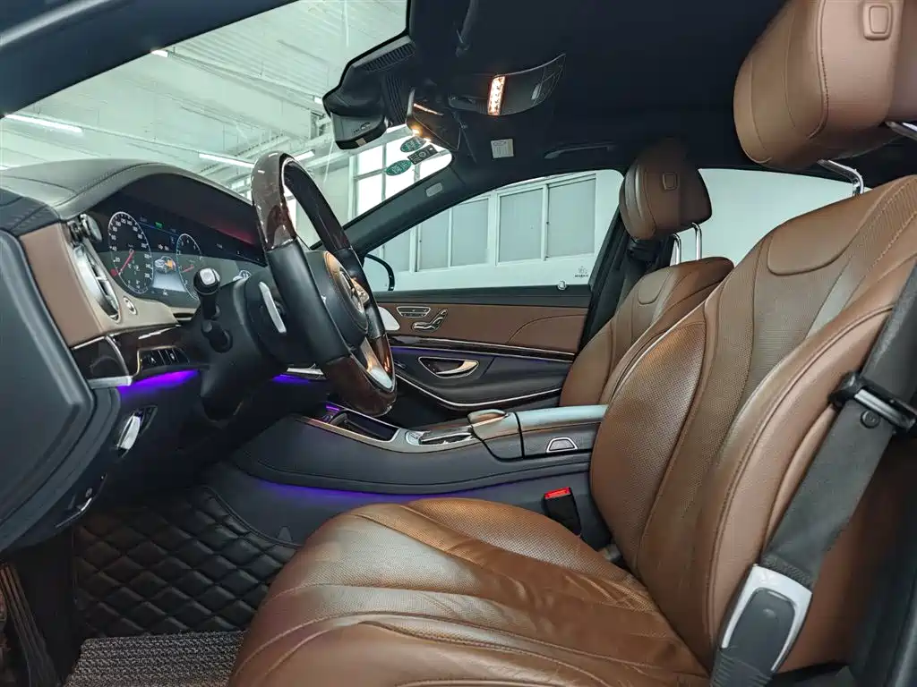 Mercedes-Benz S-Class 2020 S 350 L Premium Edition Collector's Version фото 14