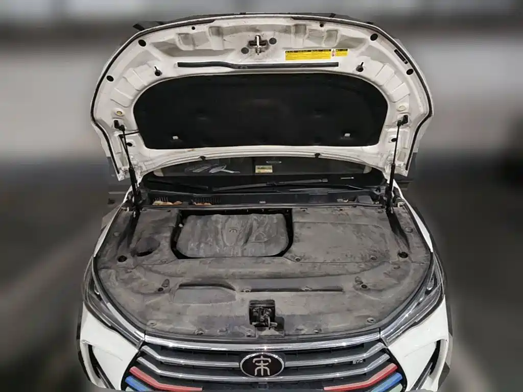 Фото 3 - BYD Song MAX