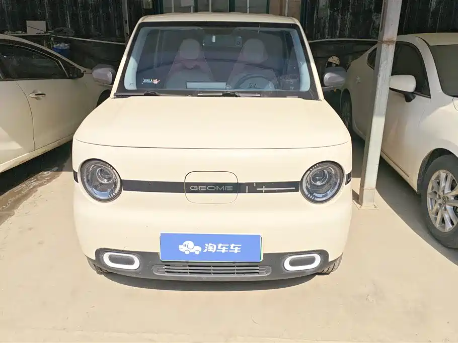 Geely Galaxy Panda 2025 Panda mini 210km Vitality Bear фото 2