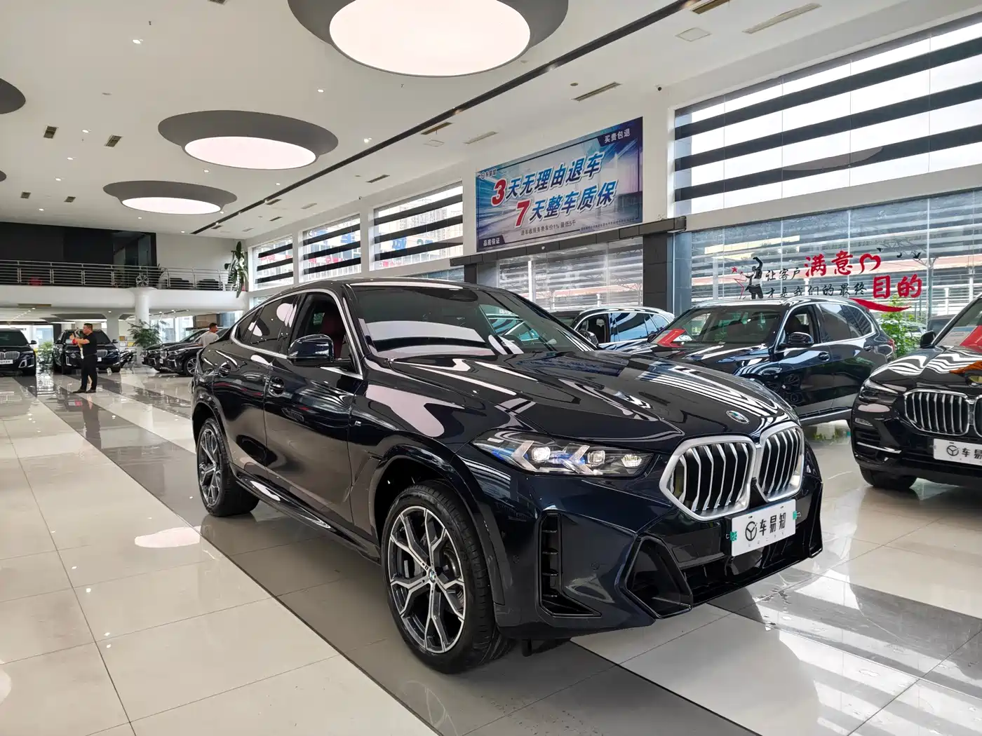 2025 BMW X6