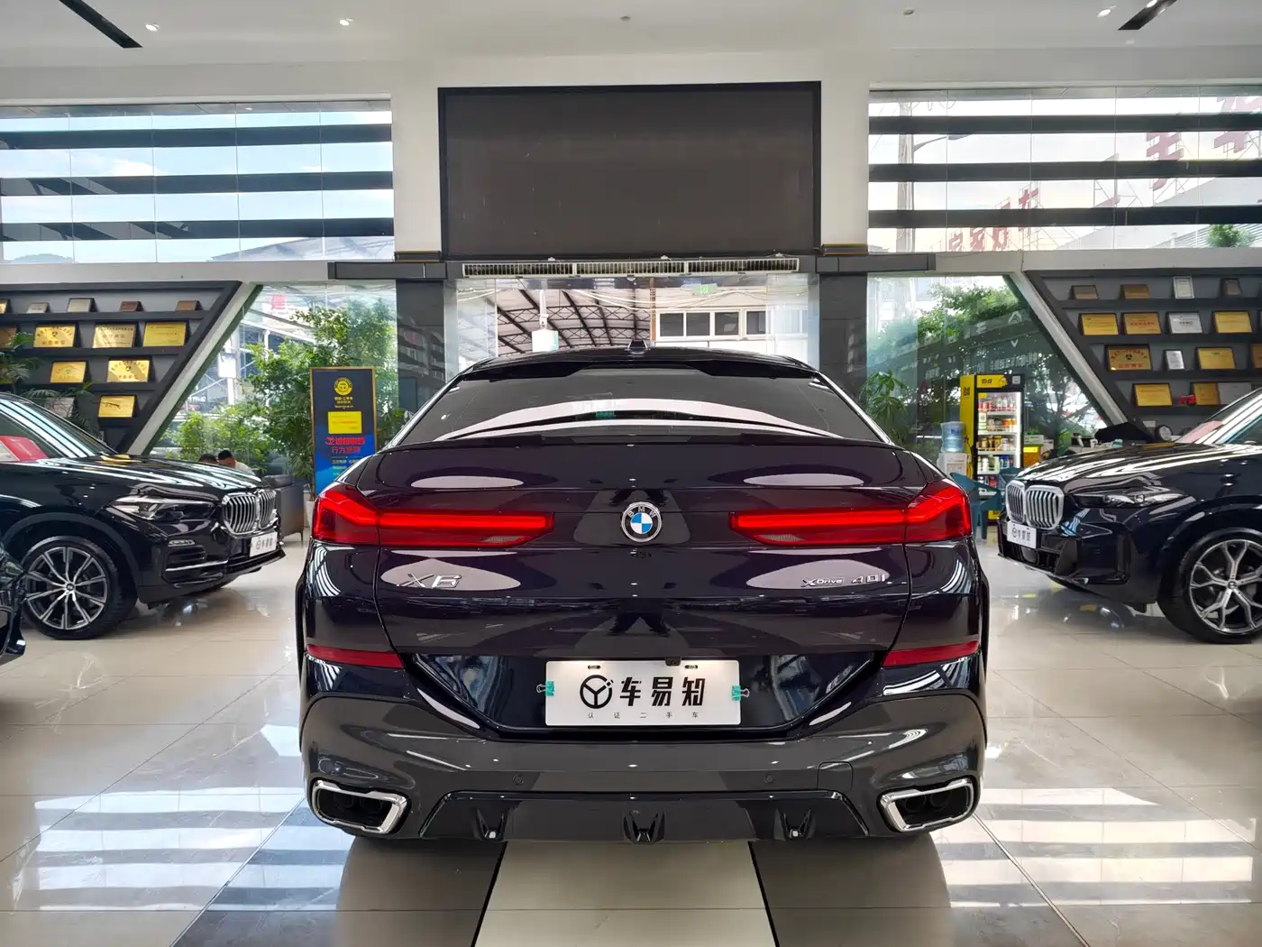 2025 BMW X6