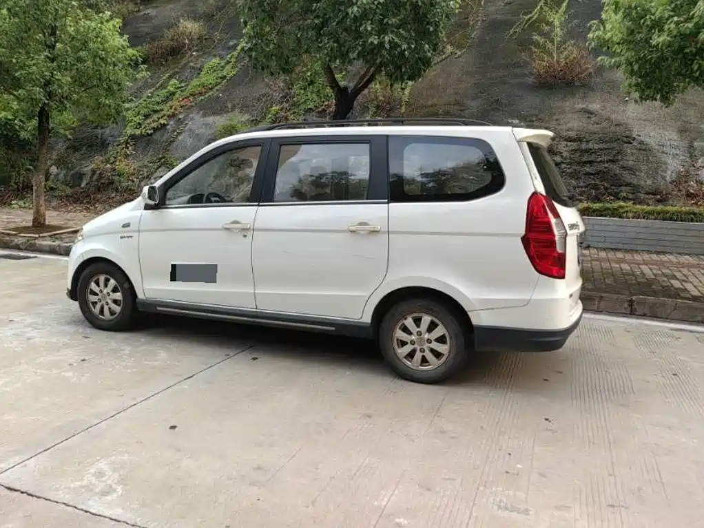 Фото 9 - Wuling Motors Wuling Hongguang