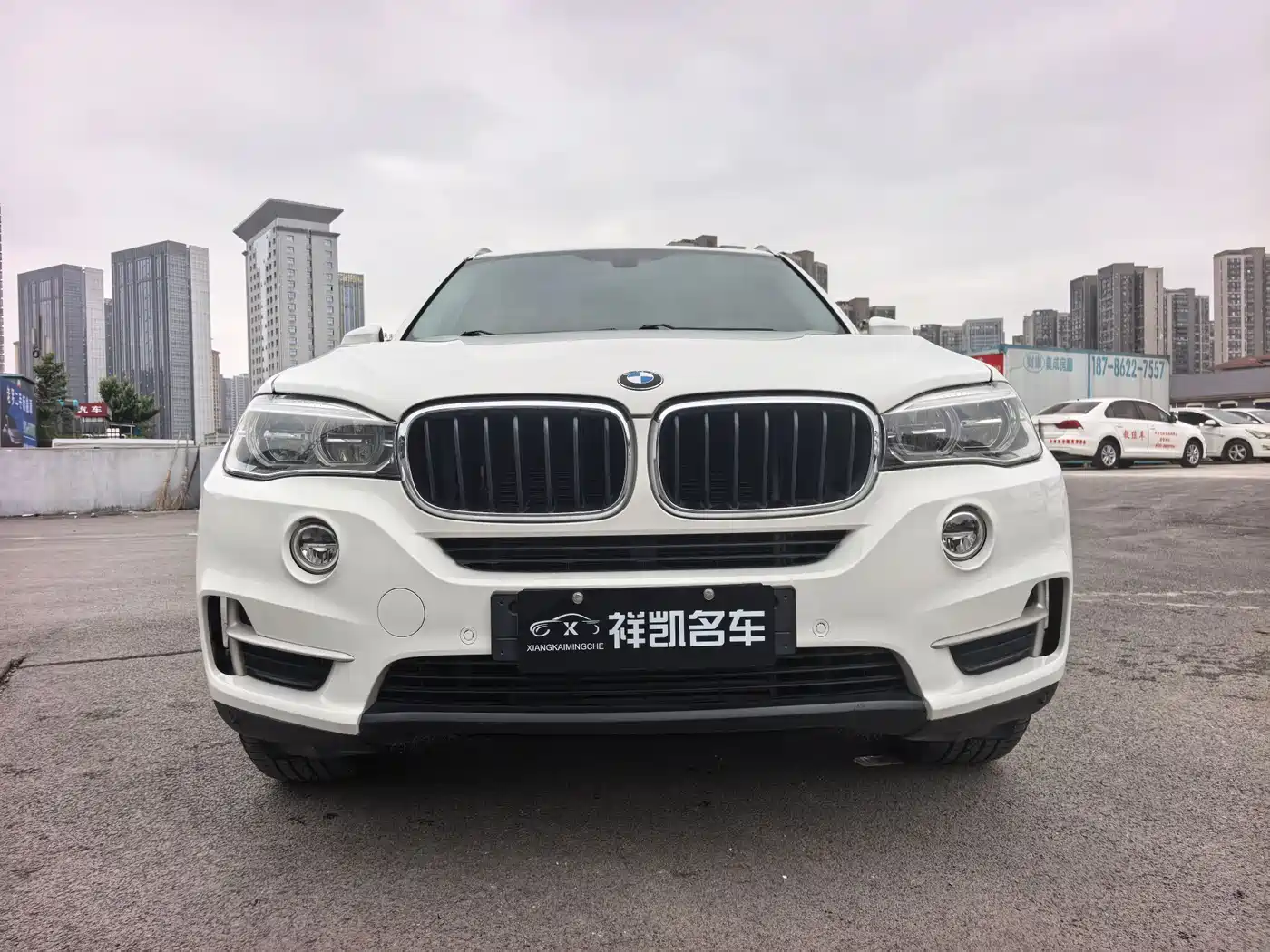 BMW X5 (Import) 2017 xDrive35i Elegance фото 2