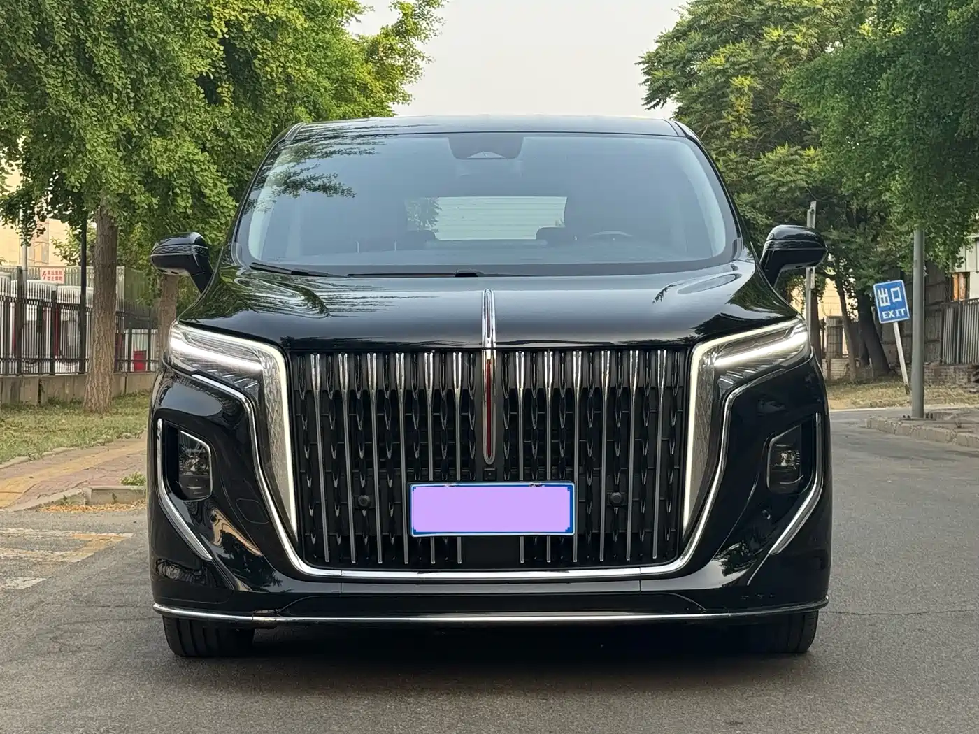 Hongqi HQ9 2023 2.0T Smart Connect Flagship фото 3