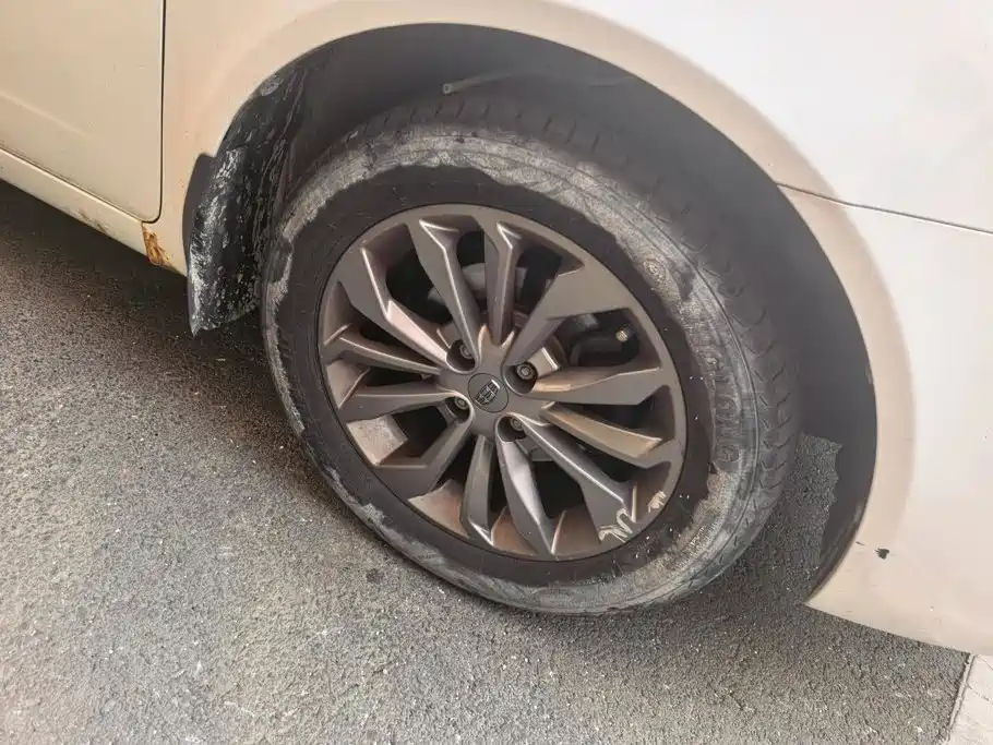 Фото 6 - Geely Vision
