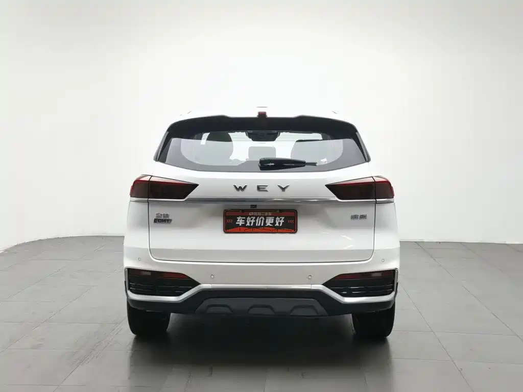 WEY Latte DHT 2022 2022 1.5T DHT Large