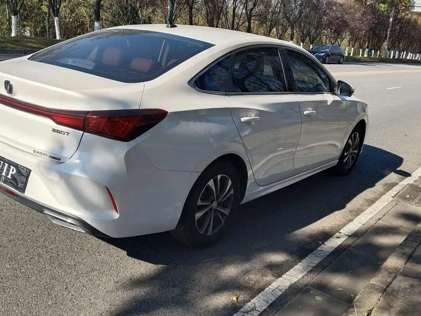 Фото 8 - Changan Eado