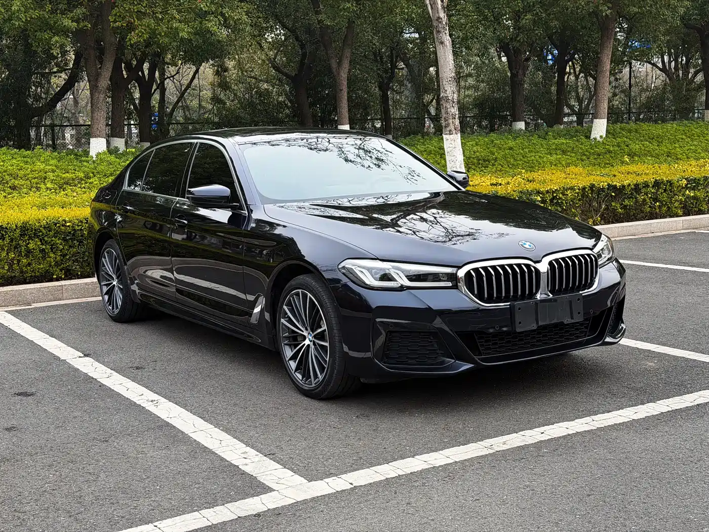 BMW 5 SERIES