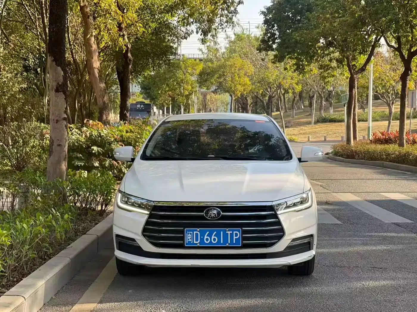 BYD Qin 2019 1.5L Automatic Luxury Edition фото 2