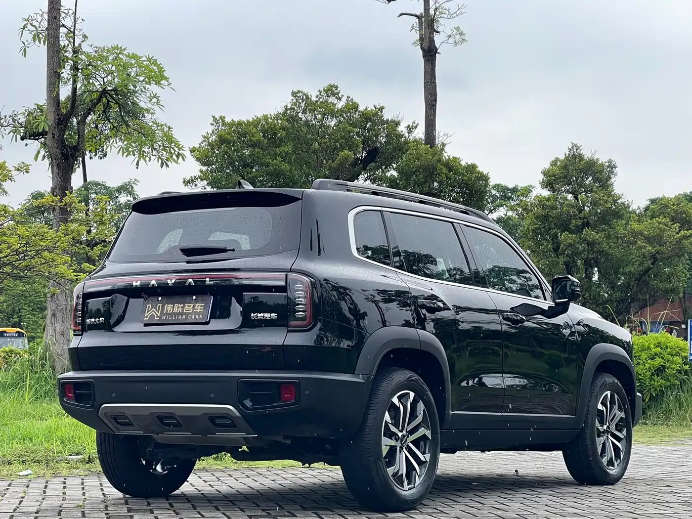 Haval Dargo 2024 2024 1.5T DCT Border Collie Edition