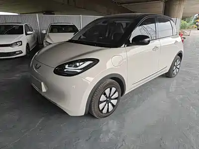Wuling Bingo