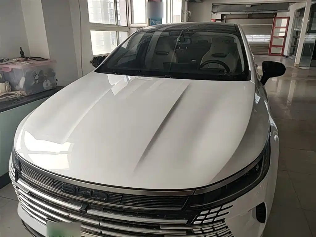 BYD Destroyer 05 2023 Champion Edition DM-i 55KM Luxury фото 3