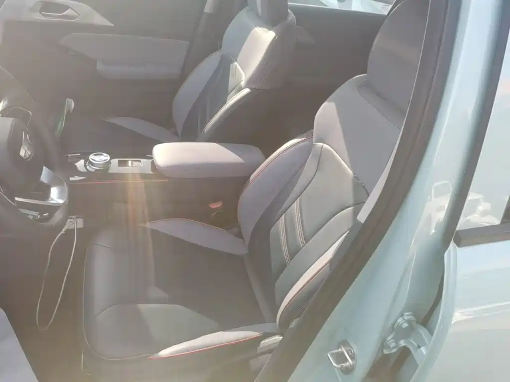 Geely Geometry E Firefly 2022 2022 401KM Delicate Tiger 4-seater