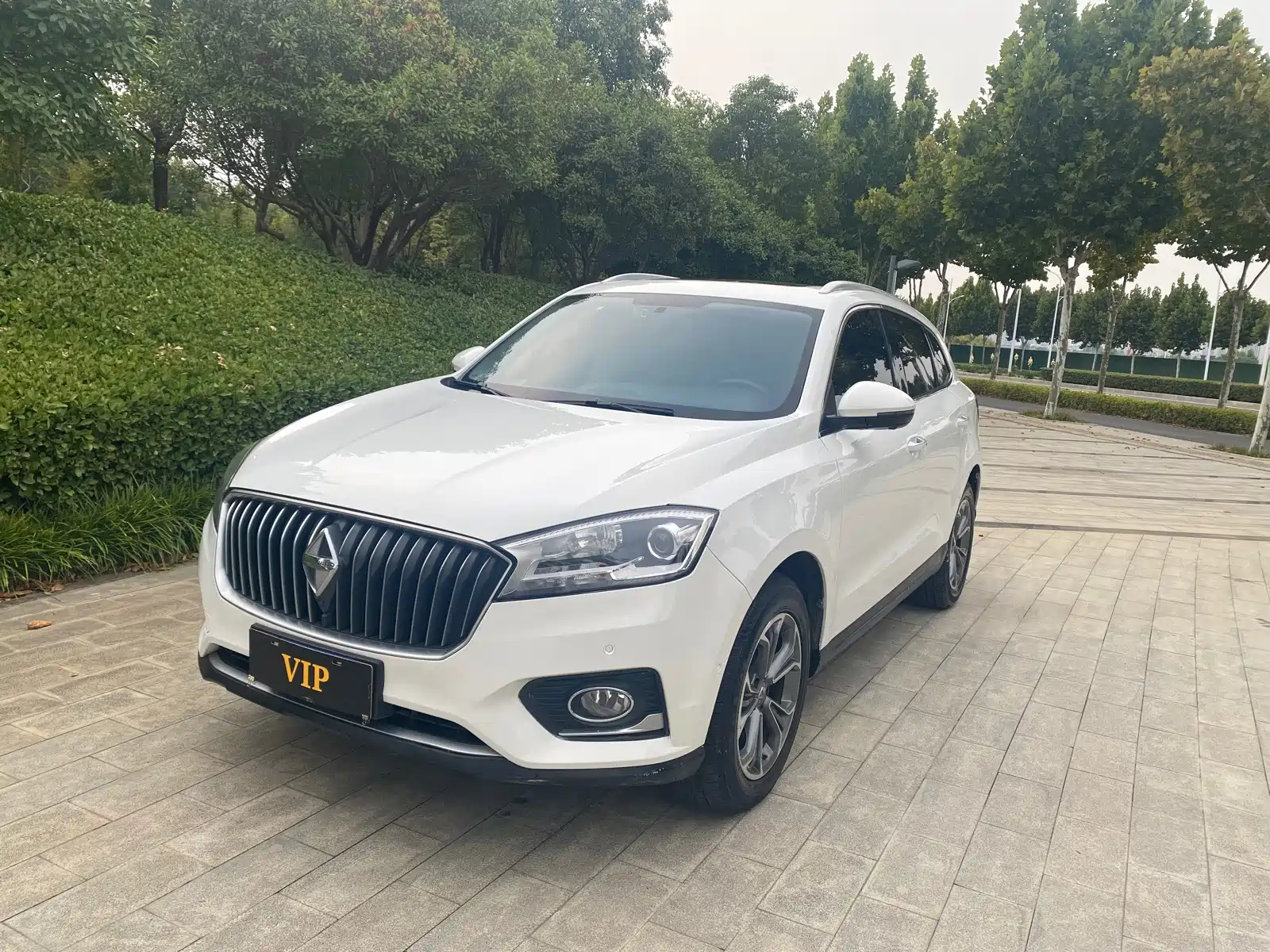 Photo 1 - Borgward BX7