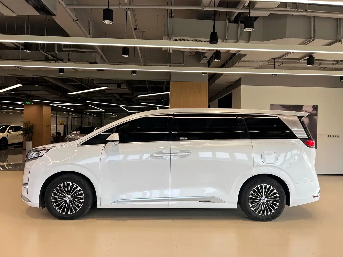 Denza D9 2023 2022 DM-i 970 All-Wheel Drive Honor Edition
