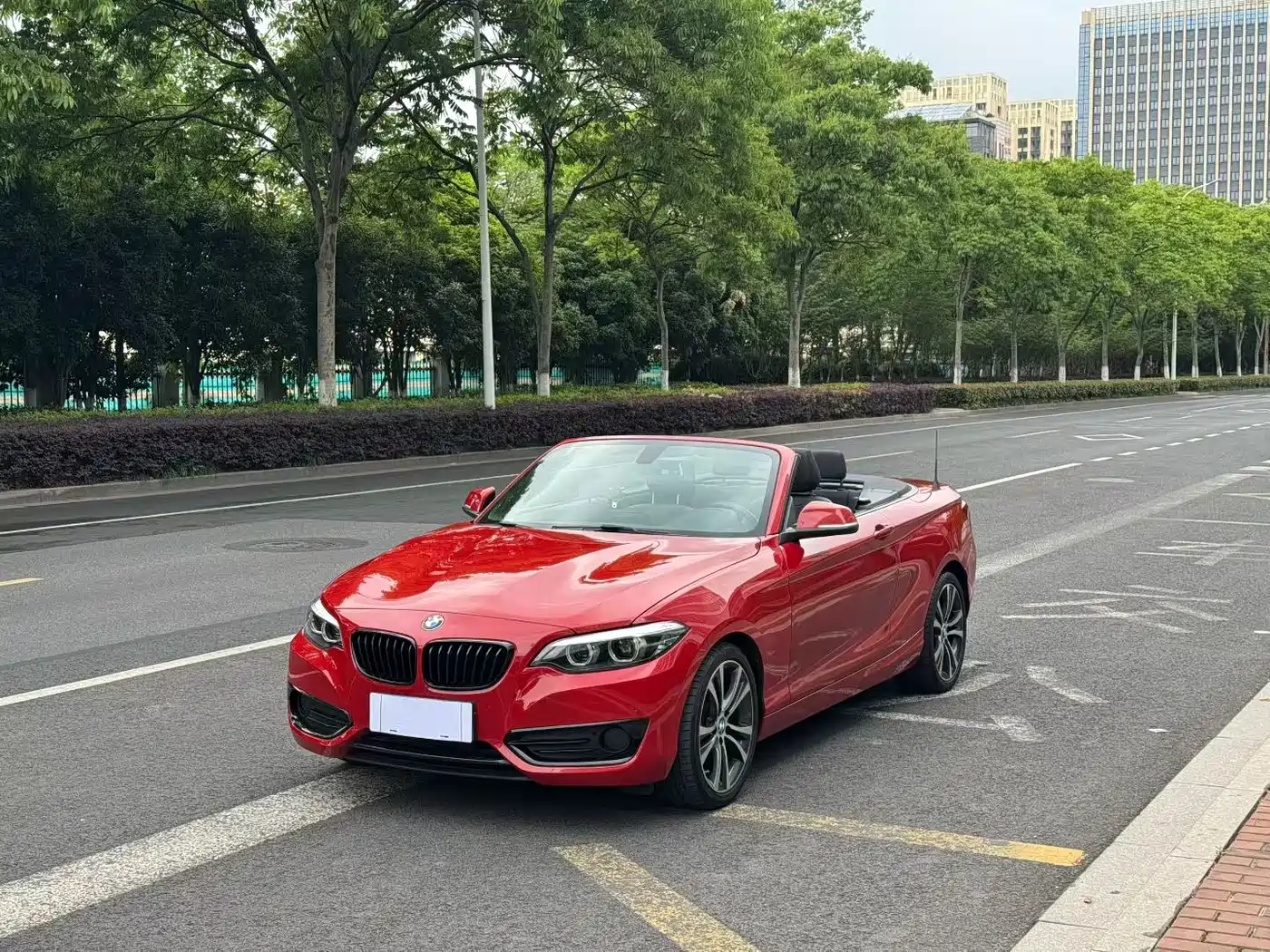 BMW 2 Series (Import) 2019 225i Convertible Coupe Sport Design Package