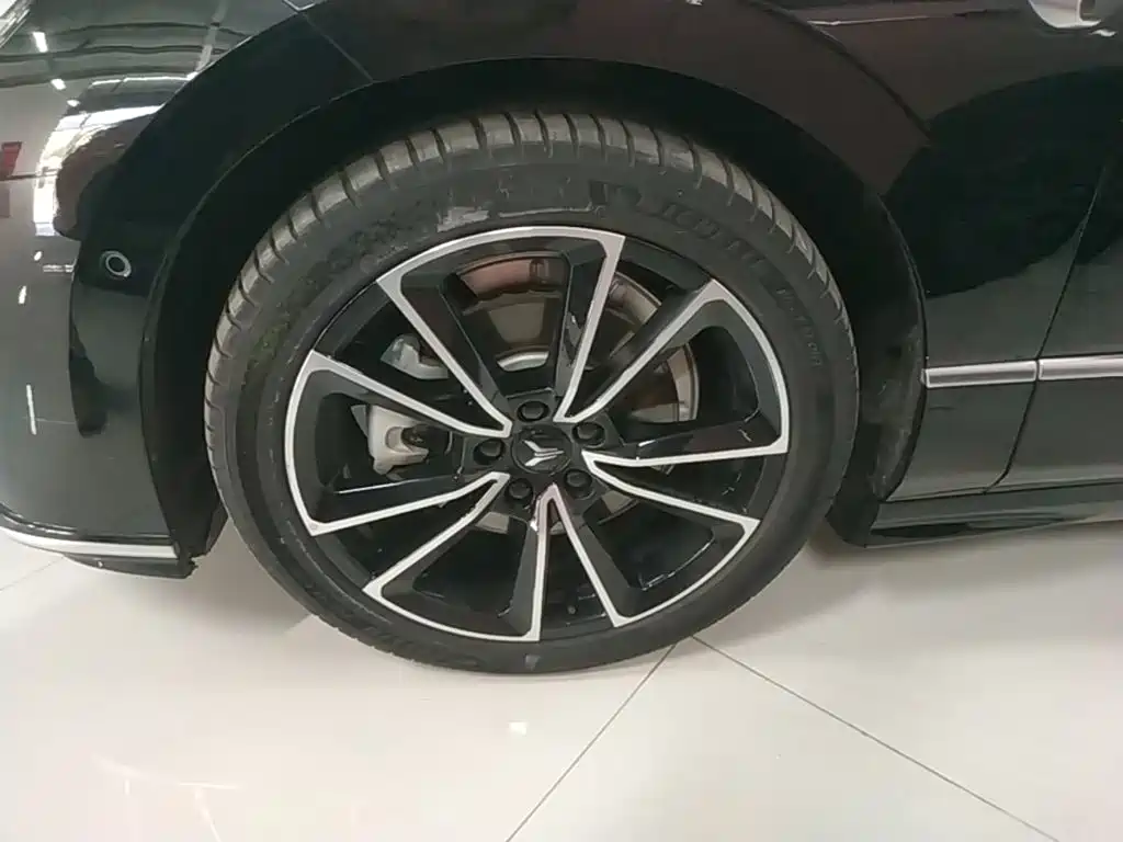 Voyah Passion 2023 2024 PHEV AWD Ultra Long Range Flagship