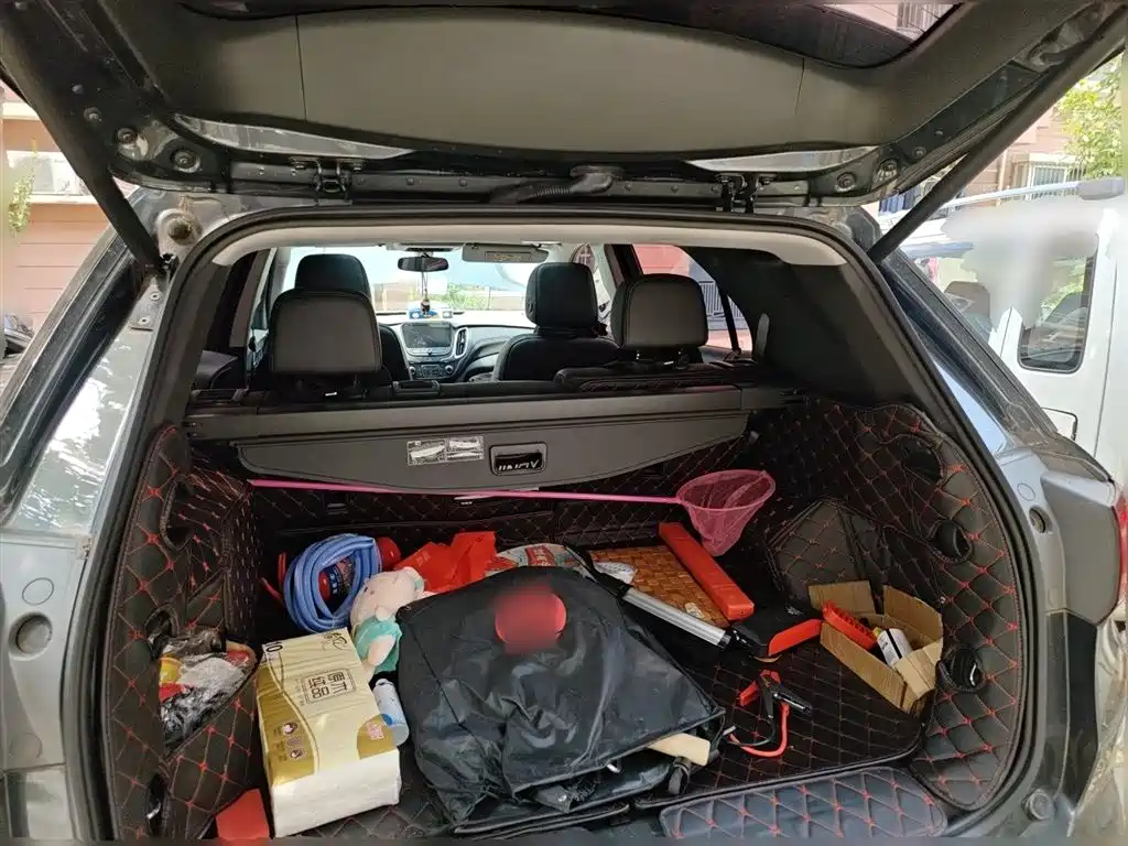 Chevrolet Equinox 2018 550T Automatic 4WD Pioneer Edition фото 15