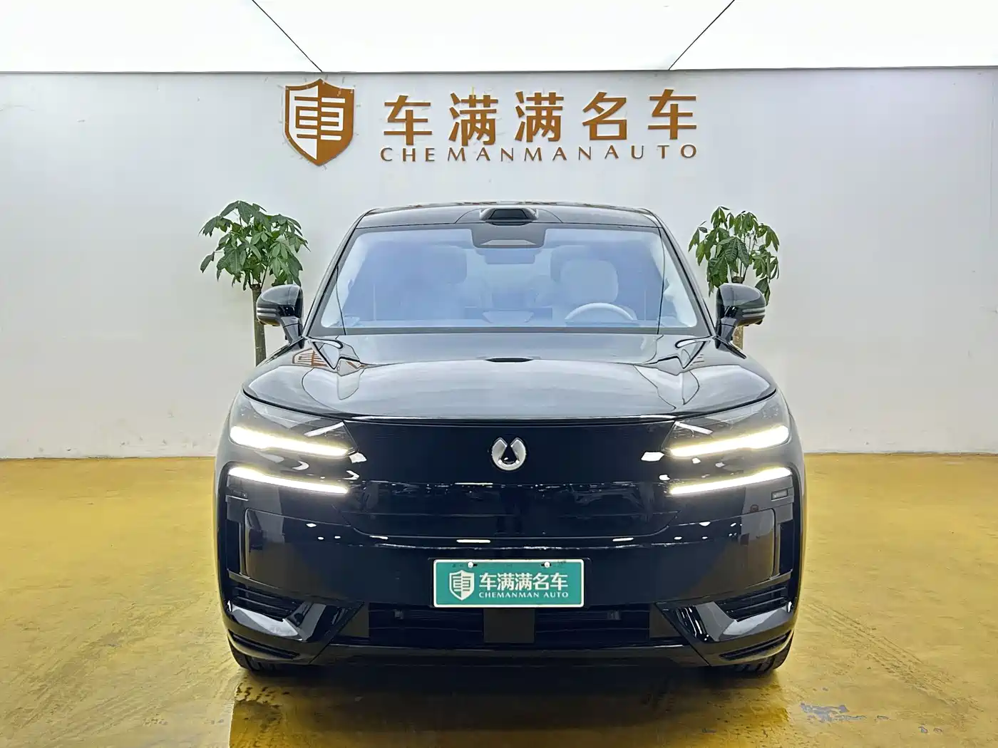 Denza N9 2025 2025 Flagship Model