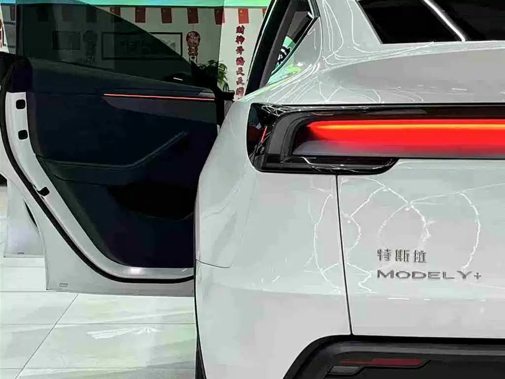 Tesla Model Y 2025 Long Range All-Wheel Drive фото 10