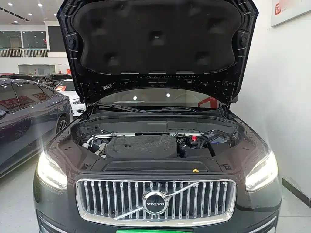 صورة 20 - Volvo XC90