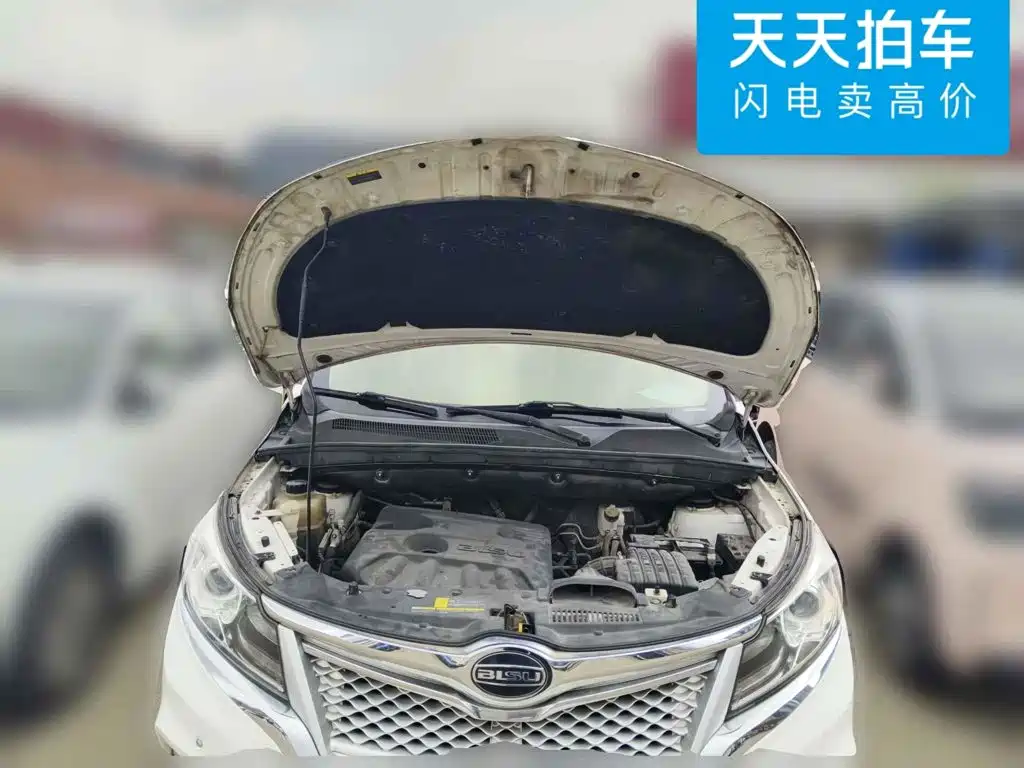 Bisu Auto Bisu M3 2017 2017 1.5L Premium Edition