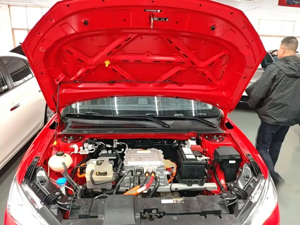 BYD e2 2022 2021 Luxury Edition