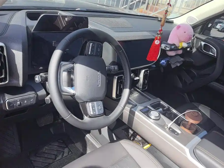 HAVAL BIG DOG