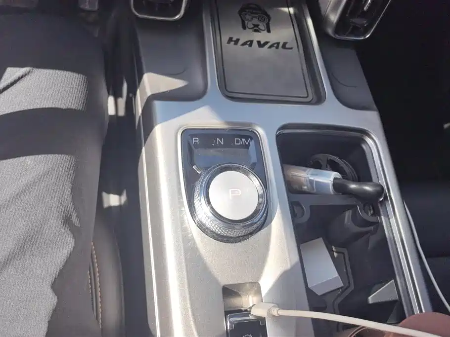 HAVAL BIG DOG