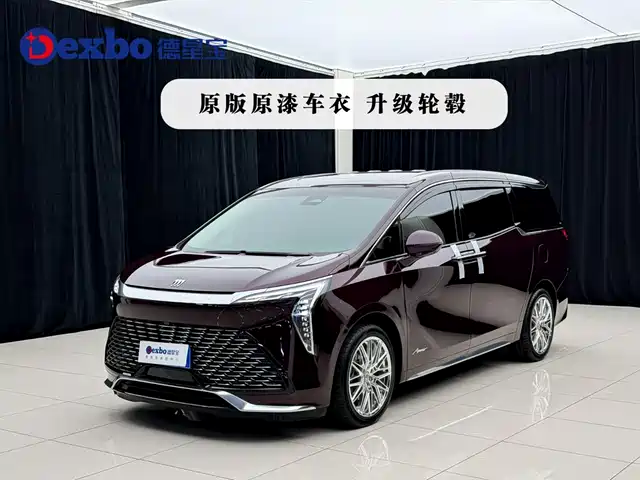 Buick GL8 Century 2.0T, 7 мест