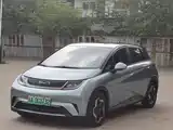 Фото 2 - BYD Dolphin
