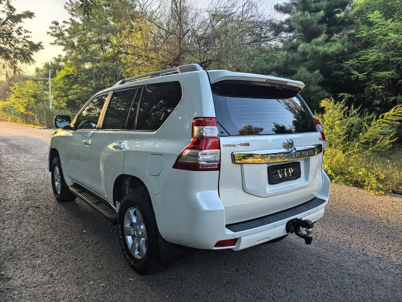 Toyota Prado 2019 2019 3.5L Automatic TX-L Zunxiang Edition
