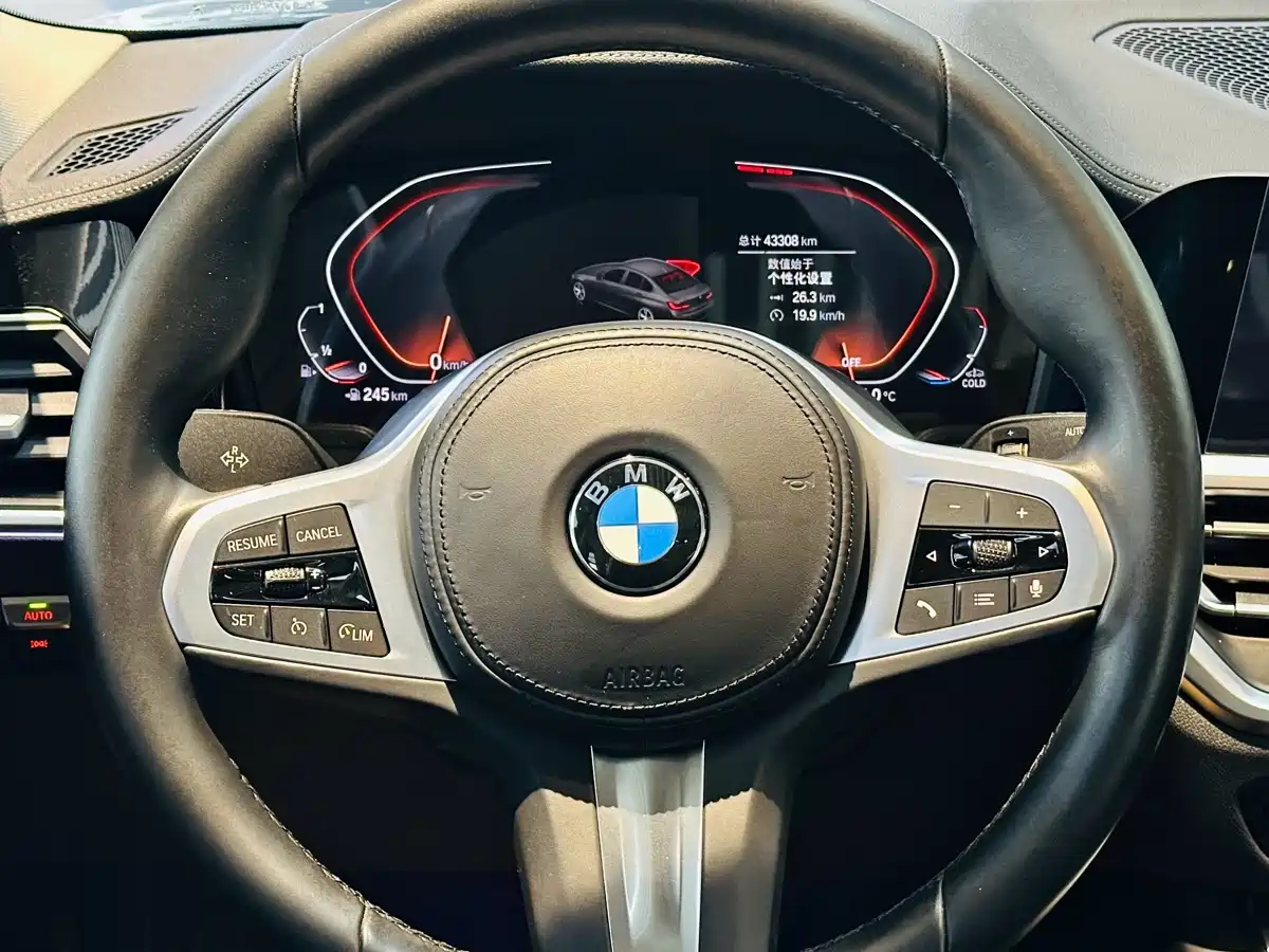 BMW 3 Series 2022 325Li M Sport Package фото 7