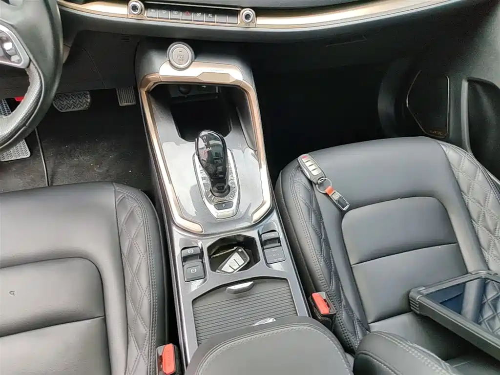 Haval H6 2020 1.5GDIT Automatic Platinum Champion Edition фото 14