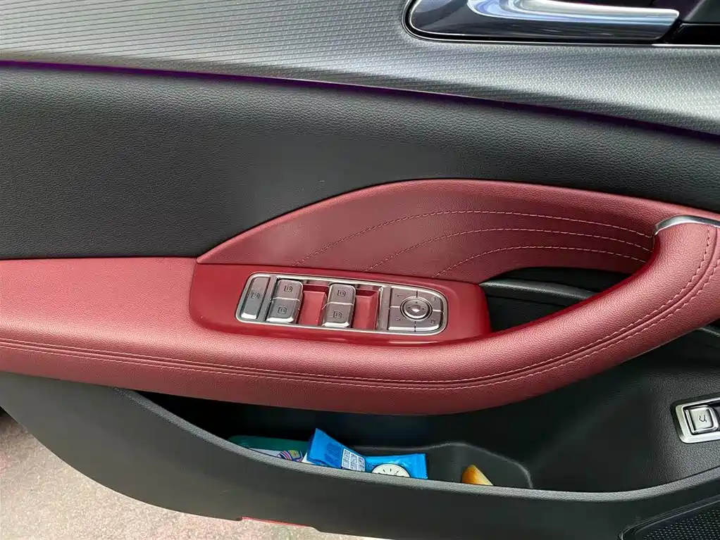 Hongqi H5 2023 2.0T Auto Smart Connect Flag Comfort фото 14