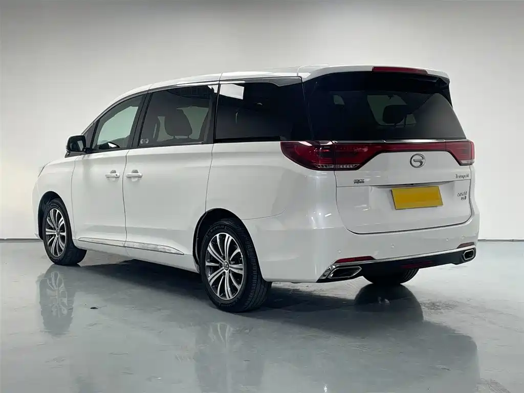 GAC Trumpchi Trumpchi M8 2019 320T Ultimate Edition фото 7
