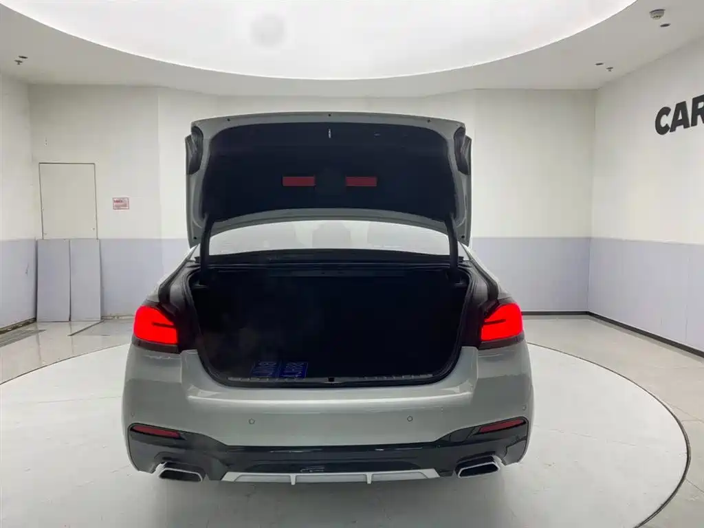 BMW 5 Series 2021 530Li Leading M Sport Package фото 30