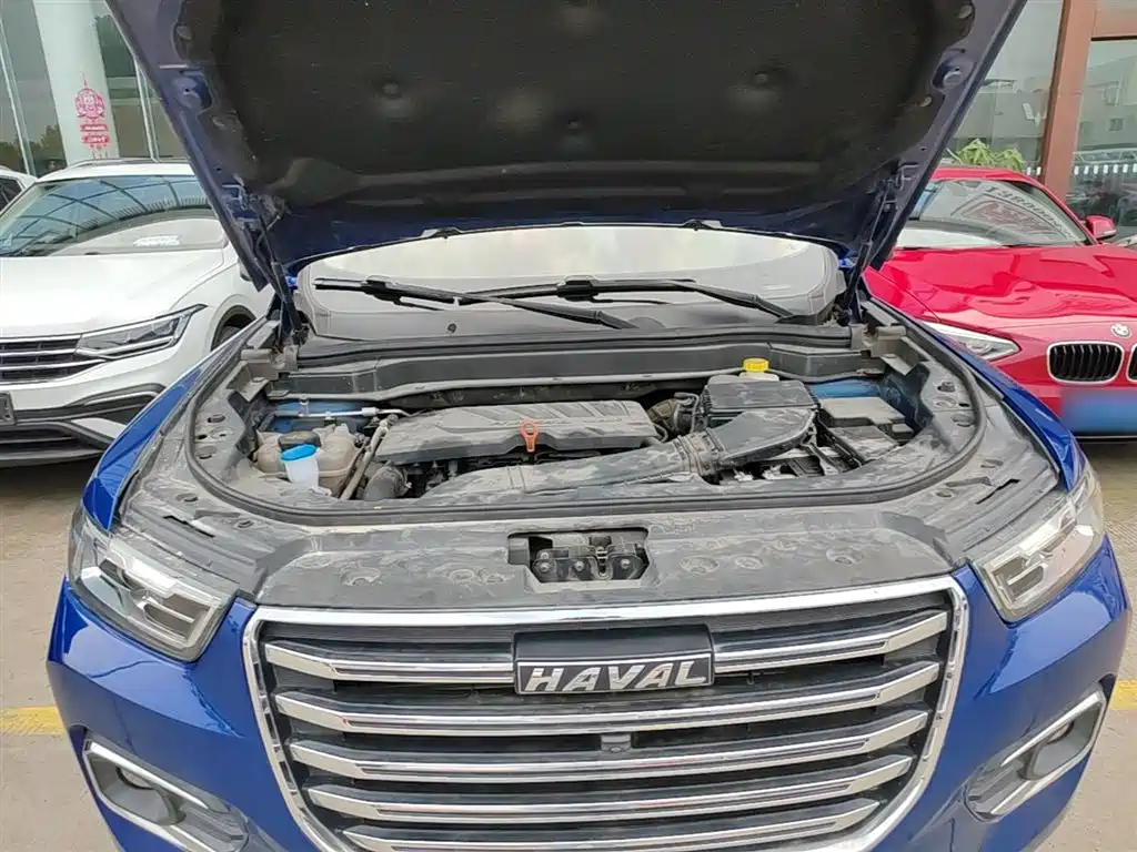 Haval H6 2020 1.5GDIT Automatic Platinum Champion Edition фото 19