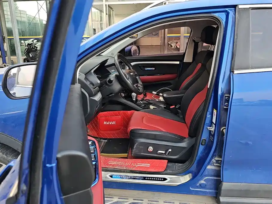 صورة 9 - Haval H2s