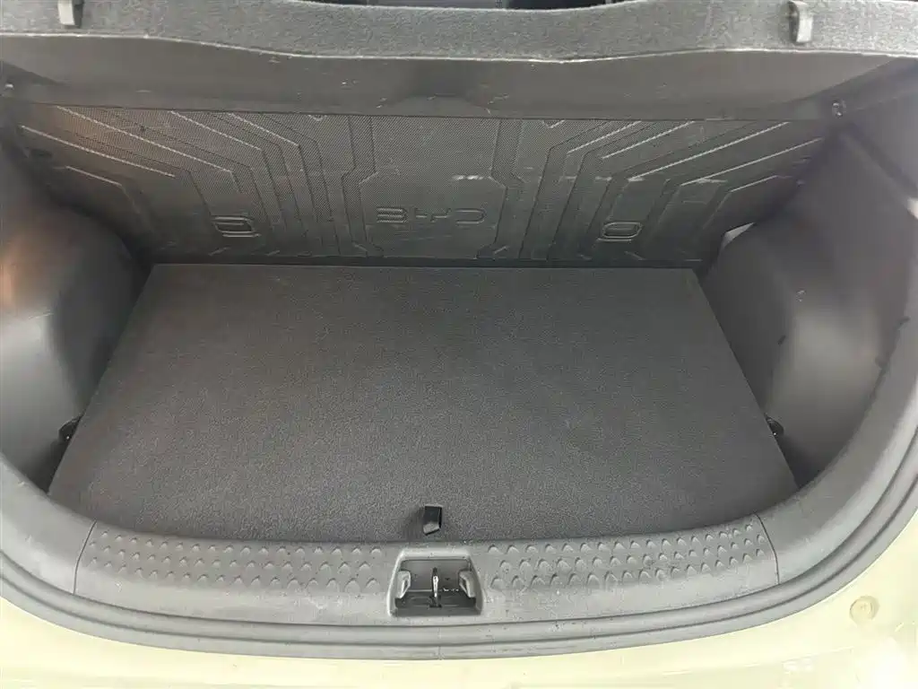 BYD Dolphin 2024 Glory Edition 420km Fashion Edition фото 14